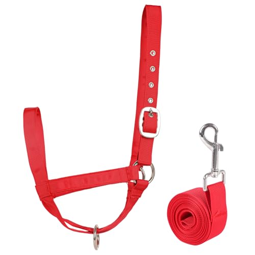Wadenhalfter mit Führungsseil, verstellbares Wadenhalfter mit Führungsseil, für Miniaturpferd, Esel, Ziege, Fohlen, Nylon, Rinder-Trainingsbedarf, Rot, S Wadenhalfter mit Führungsseil, verstellbares Wadenhalfter mit Führungsseil, für Miniaturpferd, Esel, Ziege, Fohlen, Nylon, Rinder-Trainingsbedarf, Rot, S von AQINGR