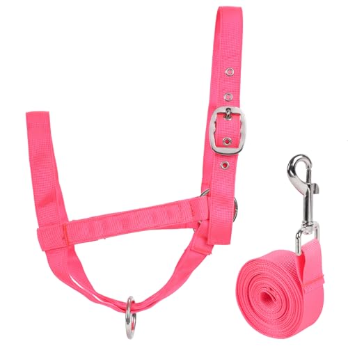 Wadenhalfter mit Führungsseil, verstellbares Wadenhalfter mit Führungsseil für Miniaturpferd Esel Ziege Fohlen Nylon Rinder Trainingsbedarf Rosa L Wadenhalfter mit Führungsseil, verstellbares Wadenhalfter mit Führungsseil für Miniaturpferd Esel Ziege Fohlen Nylon Rinder Trainingsbedarf Rosa L von AQINGR