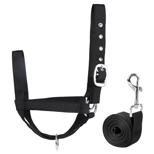 Wadenhalfter mit Führungsseil, verstellbares Wadenhalfter mit Führungsseil für Miniaturpferd Esel Ziege Fohlen Nylon Rinder Trainingsbedarf Schwarz L Wadenhalfter mit Führungsseil, verstellbares Wadenhalfter mit Führungsseil für Miniaturpferd Esel Ziege Fohlen Nylon Rinder Trainingsbedarf Schwarz L von AQINGR