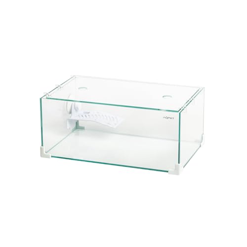 AQPET Schildkröte aus Glas mit Deckel und Insel für Wasserschildkröten, 40 x 40 x 24 x 17 cm, 16 Liter von AQPET