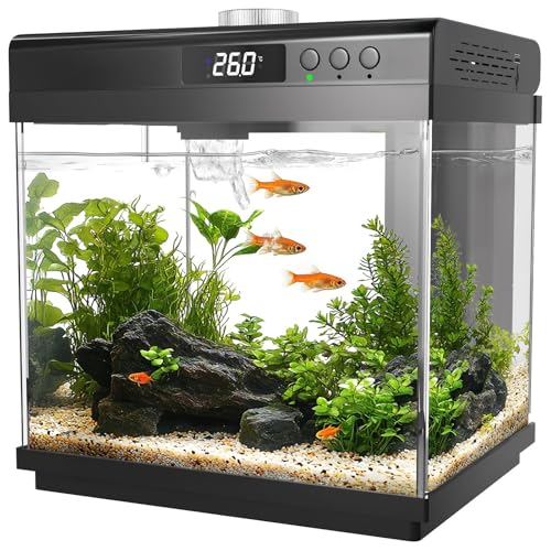 AQQA 14L Aquarium Komplettset,Nano Fischtank Aquarium mit LED-Beleuchtung und Eingebautem Filtersystem,10 Farben Justierbarer Nano Aquarium Tank,Selbstreinigende Tropische Fisch Tank Kit AQQA 14L Aquarium Komplettset,Nano Fischtank Aquarium mit LED-Beleuchtung und Eingebautem Filtersystem,10 Farben Justierbarer Nano Aquarium Tank,Selbstreinigende Tropische Fisch Tank Kit von AQQA