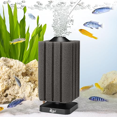 AQQA Aquarium Schwammfilter, 2023 Upgrade Aquarium Filter für Biologische und Mechanische Filterung, Tauchschaum Schwammfilter mit 1 Ersatzschwamm (S für 20-120L) von AQQA