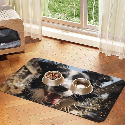 Futternapfmatte für Hunde und Wassernapf, rutschfest, saugfähig, Katzenfutterunterlage, Pastor, Border Collie, Haustierfuttermatte für Böden, keine Flecken, für Hunde und Katzen, Wassernapfmatte, 40 x Futternapfmatte für Hunde und Wassernapf, rutschfest, saugfähig, Katzenfutterunterlage, Pastor, Border Collie, Haustierfuttermatte für Böden, keine Flecken, für Hunde und Katzen, Wassernapfmatte, 40 x von AQRJKHD