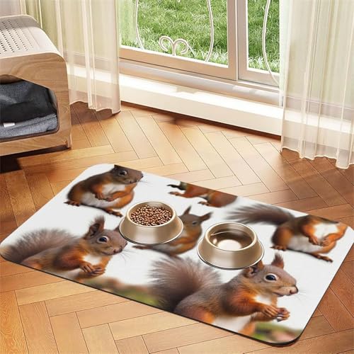 Futternapfmatte für Hunde und Wassernapf, rutschfest, saugfähig, für Katzen, niedliche Eichhörnchen, Haustierfuttermatte für Böden, keine Flecken, Wassernapf-Matte, 30 x 45 cm Futternapfmatte für Hunde und Wassernapf, rutschfest, saugfähig, für Katzen, niedliche Eichhörnchen, Haustierfuttermatte für Böden, keine Flecken, Wassernapf-Matte, 30 x 45 cm von AQRJKHD