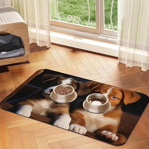 Futternapfmatte für Hunde und Wassernapf, rutschfest, saugfähig, für Welpen, Hunde, Haustiere, Tiernahrungsmatte für Böden, keine Flecken, Wassernapf-Matte, 30 x 45 cm Futternapfmatte für Hunde und Wassernapf, rutschfest, saugfähig, für Welpen, Hunde, Haustiere, Tiernahrungsmatte für Böden, keine Flecken, Wassernapf-Matte, 30 x 45 cm von AQRJKHD