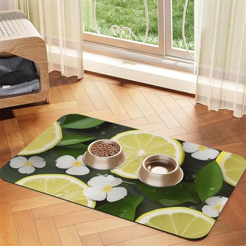 Futternapfmatte für Hundenäpfe und Wassernapf, rutschfest, saugfähig, für Katzen, frische Zitrone, Haustierfuttermatte für Böden, keine Flecken, Wassernapf-Matte, 30 x 45 cm Futternapfmatte für Hundenäpfe und Wassernapf, rutschfest, saugfähig, für Katzen, frische Zitrone, Haustierfuttermatte für Böden, keine Flecken, Wassernapf-Matte, 30 x 45 cm von AQRJKHD