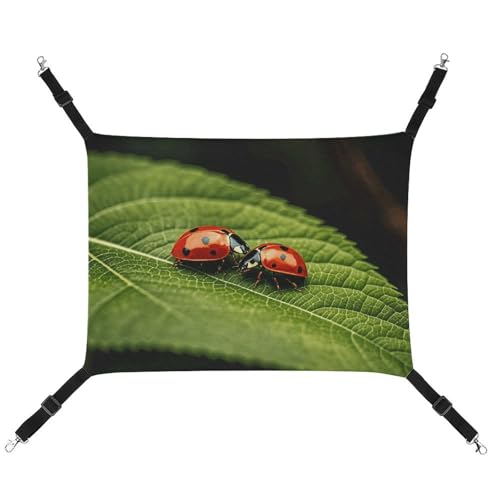 AQRJLPM Haustier-Hängematte mit verstellbaren Gurten und Metallhaken, zum Aufhängen, weich, atmungsaktiv, für Katzen, Welpen, Kaninchen, Kleintiere AQRJLPM Haustier-Hängematte mit verstellbaren Gurten und Metallhaken, zum Aufhängen, weich, atmungsaktiv, für Katzen, Welpen, Kaninchen, Kleintiere von AQRJLPM