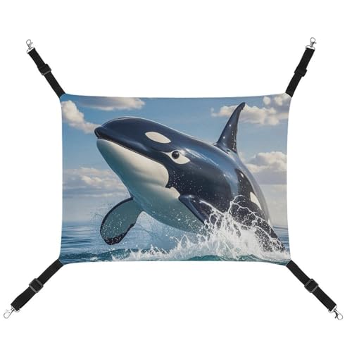 AQRJLPM Killer Whale Haustier-Hängematte mit verstellbaren Riemen und Metallhaken, Hängebett, weich, atmungsaktiv, für Katzen, Welpen, Kaninchen, Kleintiere AQRJLPM Killer Whale Haustier-Hängematte mit verstellbaren Riemen und Metallhaken, Hängebett, weich, atmungsaktiv, für Katzen, Welpen, Kaninchen, Kleintiere von AQRJLPM