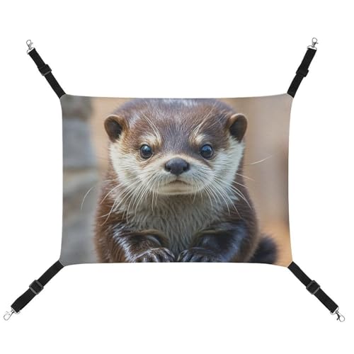 AQRJLPM Niedliche Otter Haustier-Hängematte mit verstellbaren Riemen und Metallhaken, zum Aufhängen, weich, atmungsaktiv, Schlafhängematte für Katzen, Welpen, Kaninchen, Kleintiere AQRJLPM Niedliche Otter Haustier-Hängematte mit verstellbaren Riemen und Metallhaken, zum Aufhängen, weich, atmungsaktiv, Schlafhängematte für Katzen, Welpen, Kaninchen, Kleintiere von AQRJLPM