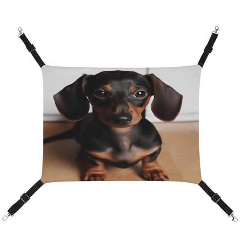 AQRJLPM Niedliche Wiener Hängematte für Hunde, mit verstellbaren Riemen und Metallhaken, zum Aufhängen, weich, atmungsaktiv, für Katzen, Welpen, Kaninchen, Kleintiere von AQRJLPM
