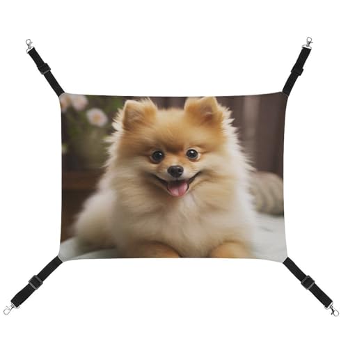 AQRJLPM Niedliche Zwergspitz-Hängematte für Hunde, Haustiere, mit verstellbaren Riemen und Metallhaken, zum Aufhängen, weich, atmungsaktiv, für Katzen, Welpen, Kaninchen, Kleintiere AQRJLPM Niedliche Zwergspitz-Hängematte für Hunde, Haustiere, mit verstellbaren Riemen und Metallhaken, zum Aufhängen, weich, atmungsaktiv, für Katzen, Welpen, Kaninchen, Kleintiere von AQRJLPM