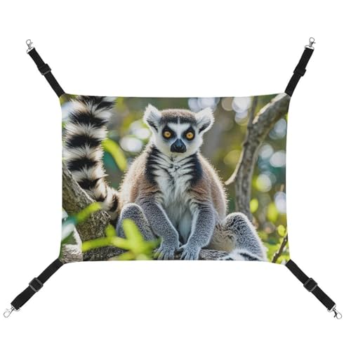 AQRJLPM Ringtailed Lemur Haustier-Hängematte mit verstellbaren Gurten und Metallhaken, Hängebett, weich, atmungsaktiv, für Katzen, Welpen, Kaninchen, Kleintiere AQRJLPM Ringtailed Lemur Haustier-Hängematte mit verstellbaren Gurten und Metallhaken, Hängebett, weich, atmungsaktiv, für Katzen, Welpen, Kaninchen, Kleintiere von AQRJLPM