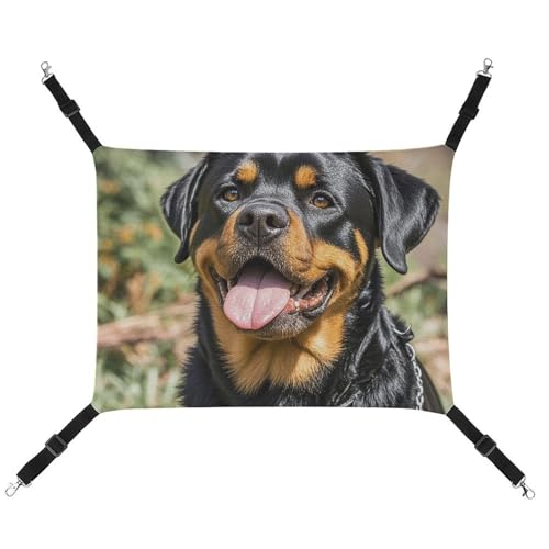 AQRJLPM Rottweiler Hunde-Zungenkopf-Hängematte mit verstellbaren Riemen und Metallhaken, zum Aufhängen, weich, atmungsaktiv, Schlafhängematte für Katzen, Welpen, Kaninchen, Kleintiere AQRJLPM Rottweiler Hunde-Zungenkopf-Hängematte mit verstellbaren Riemen und Metallhaken, zum Aufhängen, weich, atmungsaktiv, Schlafhängematte für Katzen, Welpen, Kaninchen, Kleintiere von AQRJLPM