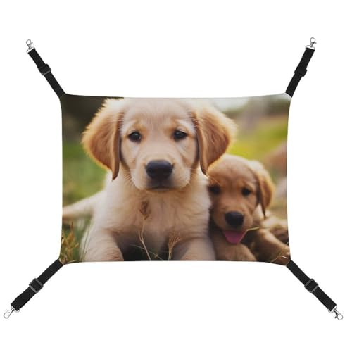AQRJLPM Süße Golden Retriever Welpenhängematte mit verstellbaren Riemen und Metallhaken, Hängebett, weich, atmungsaktiv, Schlafhängematte für Katzen, Welpen, Kaninchen, Kleintiere AQRJLPM Süße Golden Retriever Welpenhängematte mit verstellbaren Riemen und Metallhaken, Hängebett, weich, atmungsaktiv, Schlafhängematte für Katzen, Welpen, Kaninchen, Kleintiere von AQRJLPM