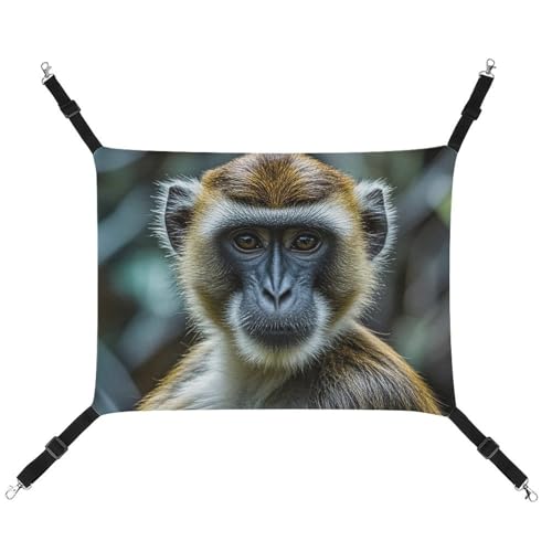 AQRJLPM The Silent Monkey Haustier-Hängematte mit verstellbaren Riemen und Metallhaken, zum Aufhängen, weich, atmungsaktiv, für Katzen, Welpen, Kaninchen, Kleintiere von AQRJLPM