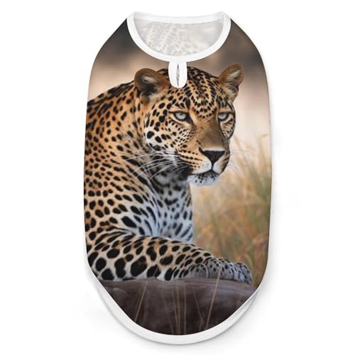 Afrikanisches Tier-Leoparden-Hunde-Shirt, schnell trocknend, atmungsaktiv, weich, dehnbar, ärmellos, Hundebekleidung, Größe XL Afrikanisches Tier-Leoparden-Hunde-Shirt, schnell trocknend, atmungsaktiv, weich, dehnbar, ärmellos, Hundebekleidung, Größe XL von AQRJLPM