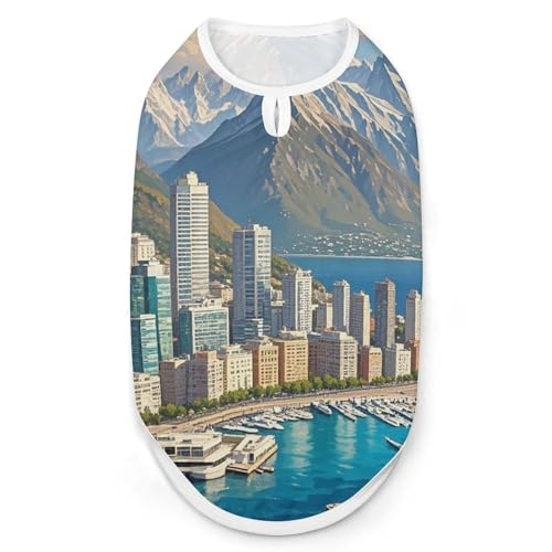 Coastal Cities Hunde-Shirt, schnell trocknend, atmungsaktiv, weich, dehnbar, ärmellos, Hundebekleidung, Größe M Coastal Cities Hunde-Shirt, schnell trocknend, atmungsaktiv, weich, dehnbar, ärmellos, Hundebekleidung, Größe M von AQRJLPM