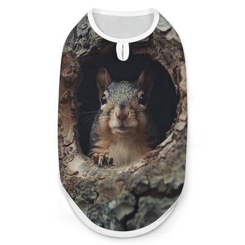Hunde-Shirt, Eichhörnchen im Baumloch, schnell trocknend, atmungsaktiv, weich, dehnbar, ärmellos, Größe M Hunde-Shirt, Eichhörnchen im Baumloch, schnell trocknend, atmungsaktiv, weich, dehnbar, ärmellos, Größe M von AQRJLPM