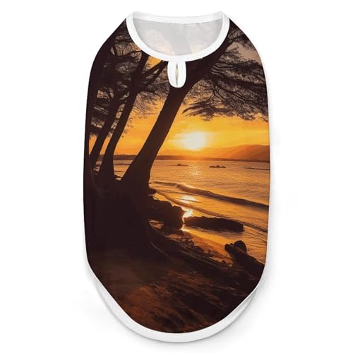 Hundeshirt mit Meeresbäumen, schnell trocknend, atmungsaktiv, weich, dehnbar, ärmellos, Größe S Hundeshirt mit Meeresbäumen, schnell trocknend, atmungsaktiv, weich, dehnbar, ärmellos, Größe S von AQRJLPM