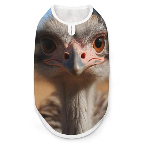 Hundeshirt mit Straußen-Motiv, schnell trocknend, atmungsaktiv, weich, dehnbar, ärmellos, Hundebekleidung, Größe XXL von AQRJLPM