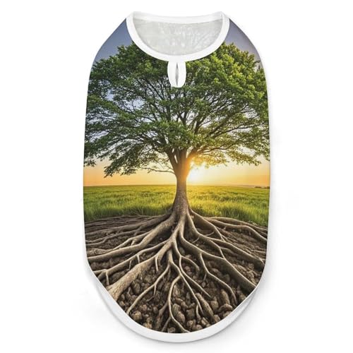 Inspirational Tree Hunde-Shirt, schnell trocknend, atmungsaktiv, weich, dehnbar, ärmellos, Hundebekleidung, Größe XXL Inspirational Tree Hunde-Shirt, schnell trocknend, atmungsaktiv, weich, dehnbar, ärmellos, Hundebekleidung, Größe XXL von AQRJLPM