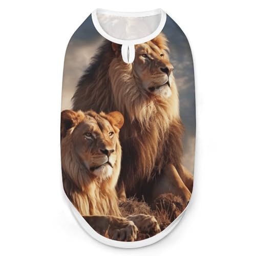 Two Lions Hunde-Shirt, schnell trocknend, atmungsaktiv, weich, dehnbar, ärmellos, Größe S Two Lions Hunde-Shirt, schnell trocknend, atmungsaktiv, weich, dehnbar, ärmellos, Größe S von AQRJLPM