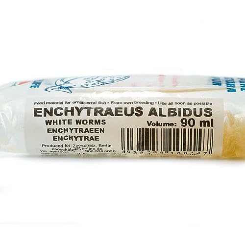 Aquarium Lebendfutter für Fische (Enchytraeen 90 ml - Aquarium Lebendfutter) von AQUAGEAR