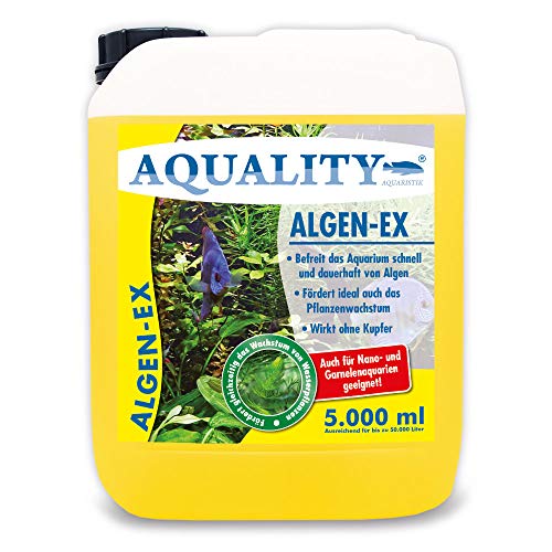 AQUALITY Aquarium Algen-EX (Erstklassiger Algenvernichter, Algenmittel, Algenentferner, Algenstopp - Befreit Fadenalgen, Bartalgen, Kieselalgen, Blau- + Schmieralgen), Inhalt:5 Liter von AQUALITY Aquaristik & Gartenteich