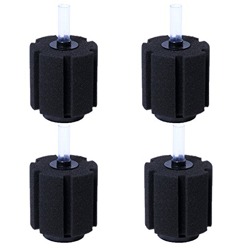 AQUANEAT Aquarium Bio Schwamm Filter 20 Gal Zucht Fry Betta Garnelen Fisch Tank xy-380, 4 Pcs AQUANEAT Aquarium Bio Schwamm Filter 20 Gal Zucht Fry Betta Garnelen Fisch Tank xy-380, 4 Pcs von AQUANEAT