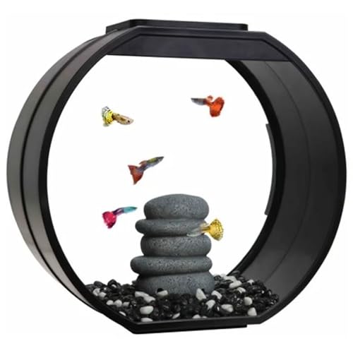 20 L Glas-Aquarium schwarz + LED, Filter, Pumpe,Nano Becken, Deco O, AA-Aquarium von AQUARIUM-PLÜDERHAUSEN