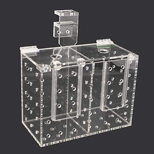 Aquarium Isolationsbox/Quarantänebox, Aufzuchtkasten, Fischfalle, Box für Korallenableger, 20x10x15 cm von AQUARIUM PLÜDERHAUSEN