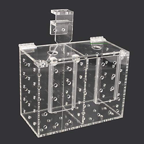 Aquarium Isolationsbox/Quarantänebox, Aufzuchtkasten, Fischfalle, Box für Korallenableger, 20x10x15 cm Aquarium Isolationsbox/Quarantänebox, Aufzuchtkasten, Fischfalle, Box für Korallenableger, 20x10x15 cm von AQUARIUM-PLÜDERHAUSEN