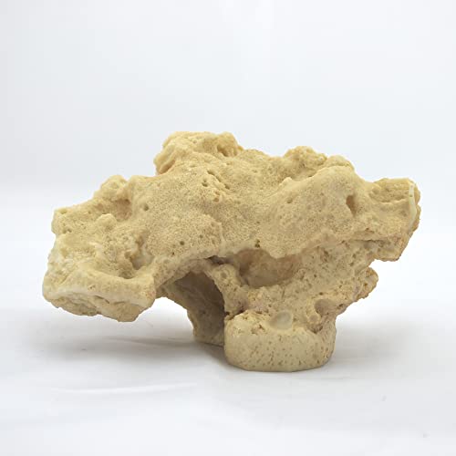 Felsen/Stein,16 x 9 x 9 cm, Meerwasser Riffgestein, Aquarium Deko Nachbildung Felsen/Stein,16 x 9 x 9 cm, Meerwasser Riffgestein, Aquarium Deko Nachbildung von AQUARIUM PLÜDERHAUSEN