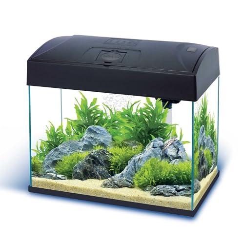 Nano-Komplett-Aquarium 20 L, kratzfestes Glas, inkl. Filter, Pumpe,LED-Beleuchtung Nano-Komplett-Aquarium 20 L, kratzfestes Glas, inkl. Filter, Pumpe,LED-Beleuchtung von AA Aquarium