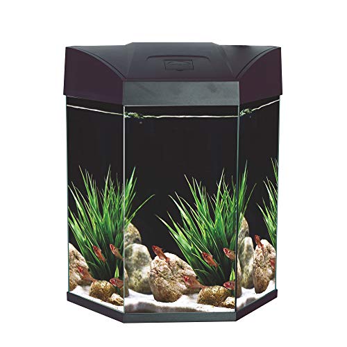 Sechseck-Komplett-Aquarium 70 L EC Hexa mit LED-Beleuchtung, Filter u. Pumpe, schwarz von AQUARIUM-PLÜDERHAUSEN