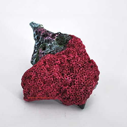 Steinkoralle,12 x 8,5 x 5,5 cm,Cyphastrea auf Riffgestein,Aquarium Kunstkoralle Steinkoralle,12 x 8,5 x 5,5 cm,Cyphastrea auf Riffgestein,Aquarium Kunstkoralle von AQUARIUM PLÜDERHAUSEN