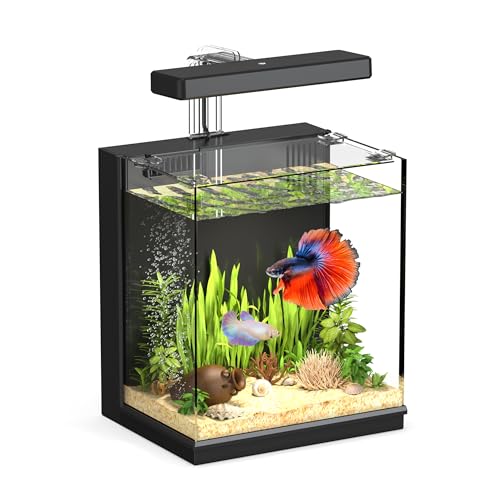 AQUASMITH Aquarium, intelligentes kleines Aquarium, 2,1 Liter, automatischer Wasserwechsel, verstecktes Filtersystem, mit Bakterienkulturkammer/Aktivkohlefilter, 8D-Filter-Baumwolle, UHD-Glas AQUASMITH Aquarium, intelligentes kleines Aquarium, 2,1 Liter, automatischer Wasserwechsel, verstecktes Filtersystem, mit Bakterienkulturkammer/Aktivkohlefilter, 8D-Filter-Baumwolle, UHD-Glas von AQUASMITH