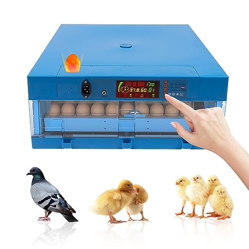 ARBGO 64 Eier Brutautomat Vollautomatisch Inkubator Brutkasten Hühner, Inkubator Hühner Brutmaschine mit Eierdrehfunktion und LED Temperaturanzeige für Zucht von Hühnern, Enten, Gans, Tauben von ARBGO