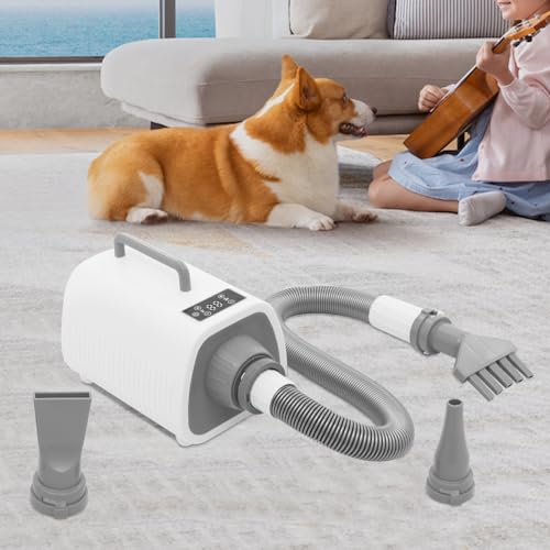 ARBGO Hundefön Blower, Hundepflegetrockner, Touchscreen Trockner für Haustiere, 9 Geschwindigkeiten und Temperaturregelung Blower Hund mit 3 Verschiedenen Düsen, für Hunde und Katzen verschiedener ARBGO Hundefön Blower, Hundepflegetrockner, Touchscreen Trockner für Haustiere, 9 Geschwindigkeiten und Temperaturregelung Blower Hund mit 3 Verschiedenen Düsen, für Hunde und Katzen verschiedener von ARBGO