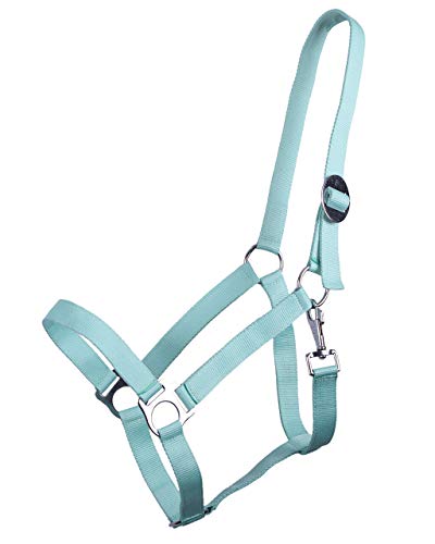 ARBO-INOX® Halfter mit Schiebeschnalle Stallhalfter Basic (Pony, Ice Green) von ARBO-INOX