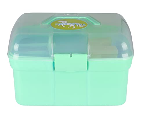 ARBO-INOX® Putzbox für Kinder Putzkiste Putzzeug (Ice Green) von ARBO-INOX