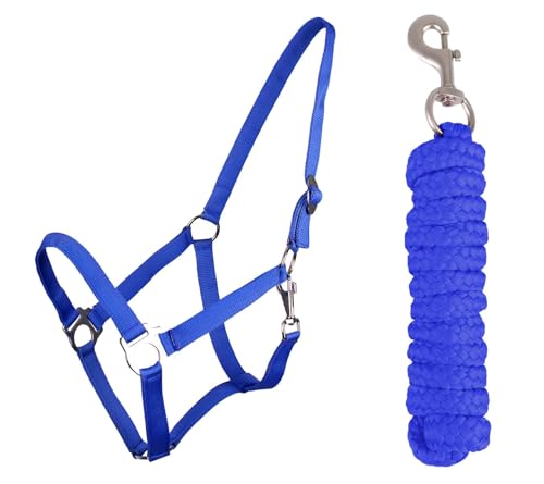 ARBO-INOX Halfter Set Beginner - Halfter + Führstrick mit Karabinerhaken verstellbar (Full Warmblut, Kobaltblau) von ARBO-INOX