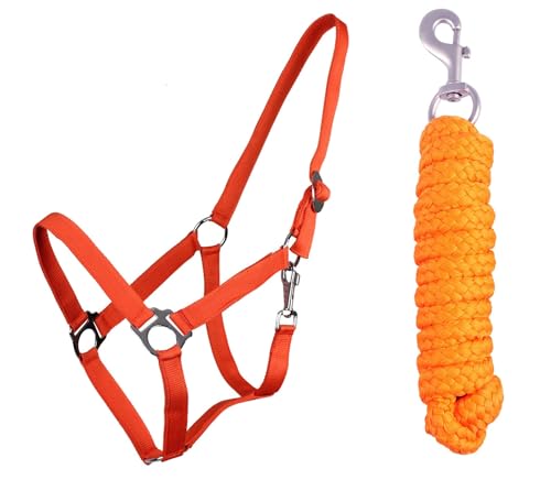 ARBO-INOX Halfter-Set Beginner II Halfter + Führstrick mit Karabinerhaken verstellbar (Mini Shetty, Orange) von ARBO-INOX
