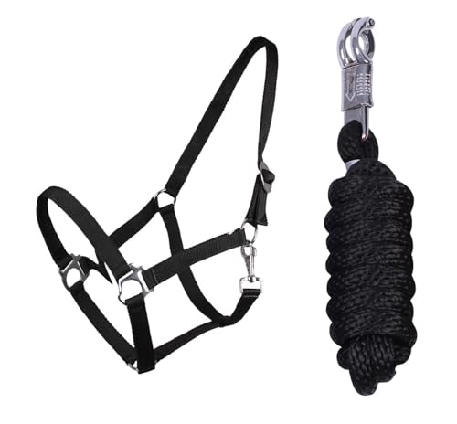 ARBO-INOX Halfter-Set Beginner II Halfter + Führstrick mit Panikhaken verstellbar (COB VOLLBLUT, SCHWARZ) von ARBO-INOX