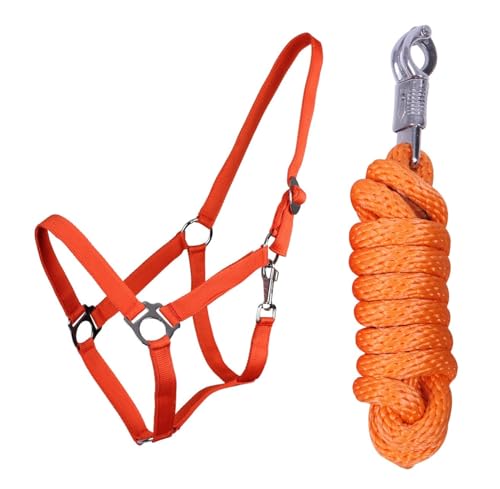 ARBO-INOX Halfter-Set Beginner II Halfter + Führstrick mit Panikhaken verstellbar (Mini Shetty, Orange) von ARBO-INOX