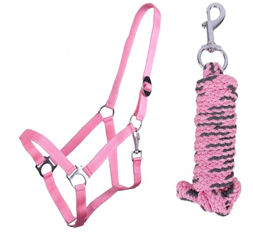 ARBO-INOX Halfter-Set Beginner de lux - Halfter + Führstrick - graue Akzente - verstellbar (COB Vollblut,Flamingo Pink) von ARBO-INOX