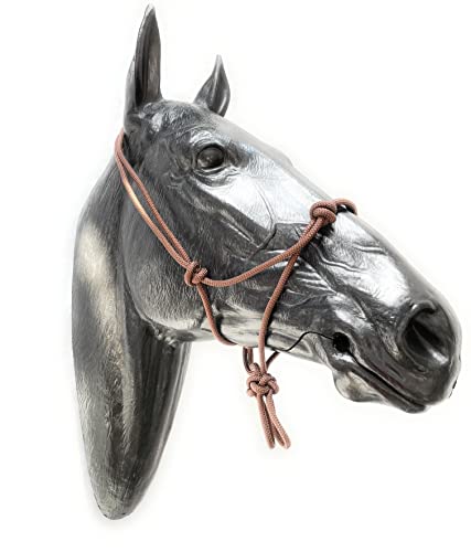 ARBO-INOX Knotenhalfter einfach ohne Führstrick Sonderangebot (Full WARMBLUT, BRAUN) von ARBO-INOX