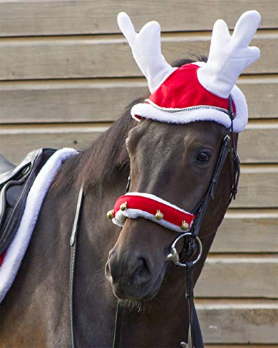 ARBO-INOX Rentierhaube Pferdeschmuck Weihnachtsschmuck für Pferde (Pony) von ARBO-INOX