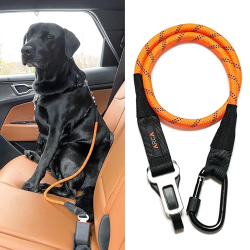ARCA PET Sicherheitsgurt, universeller Hundesicherheitsgurt, langlebiger, reflektierender Auto-Sicherheitsgurt für Hunde, mit Cliphaken, Schnalle und Karabiner aus Legierung, sichere ARCA PET Sicherheitsgurt, universeller Hundesicherheitsgurt, langlebiger, reflektierender Auto-Sicherheitsgurt für Hunde, mit Cliphaken, Schnalle und Karabiner aus Legierung, sichere von ARCA PET