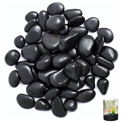 ARCPNRT Kieselsteine, 4-8 cm Schwarz Polierte Flusssteine, 1kg Polierte Schwarz Kieselsteine, Gartensteine Gross, Dekosteine Poliert, für Landschaftsbau, Heimdekoration, Handwerk, Kunstprojekte ARCPNRT Kieselsteine, 4-8 cm Schwarz Polierte Flusssteine, 1kg Polierte Schwarz Kieselsteine, Gartensteine Gross, Dekosteine Poliert, für Landschaftsbau, Heimdekoration, Handwerk, Kunstprojekte von ARCPNRT